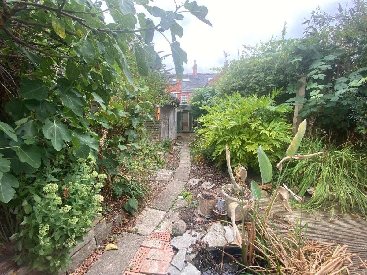 The Dragonfly Bnb, กลาสตันเบอรี ภายนอก รูปภาพ